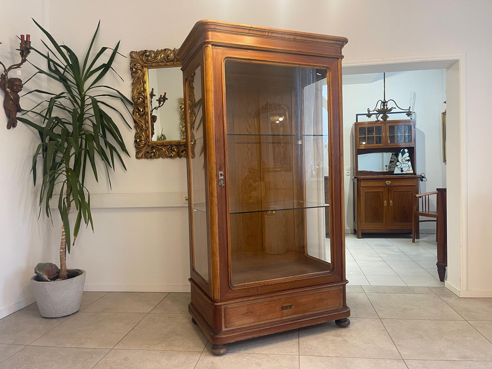 SALE Gründerzeit Vitrine Bücherschrank Sammlervitrine Eichenholz Antiquität G1055